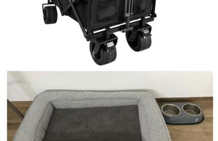 The Fehmarn Lodges - RELAX - - Foto 25