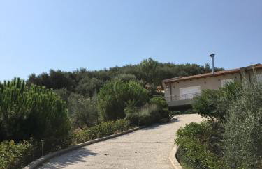 The Olive Orchard - Foto 11