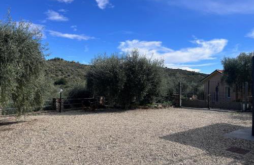 Casa Riviera dei Fiori - Foto 10