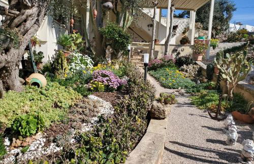 Appartamenti Baia Azzurra - Foto 64