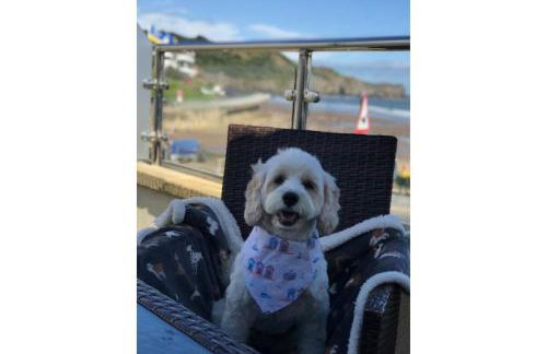 Turnstone Cottage - Foto 9