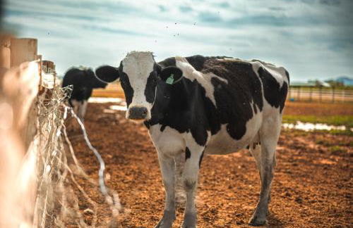 Casa Grande - Foto 13