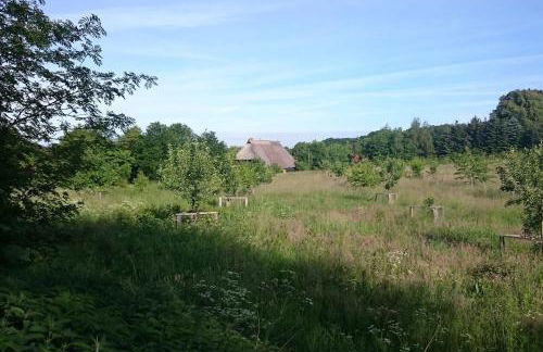 Chalet Forsthof Everstorf - Foto 50