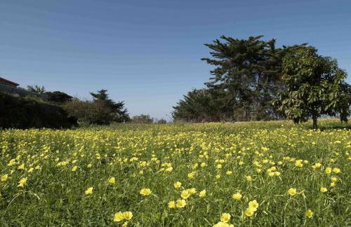 CASAS EN FINCA ECOLÓGICA LA ESPIRAL, NATURALEZA, CALMA Y VISTAS al MAR, - Foto 59