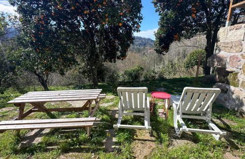 Nascente home place in nature next to a waterfall - Foto 16