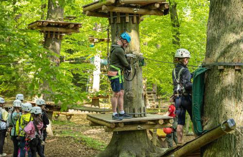Ferienhaus Storchenblick - Foto 42