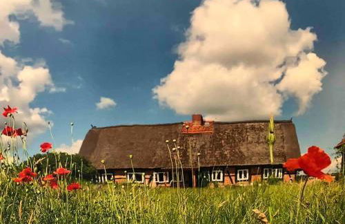 Haus an Fluss und See - Foto 41