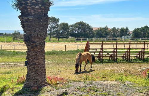 Golden Beach House - Foto 7