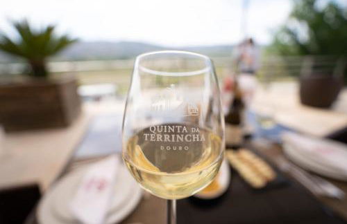 Quinta da Terrincha - Foto 7