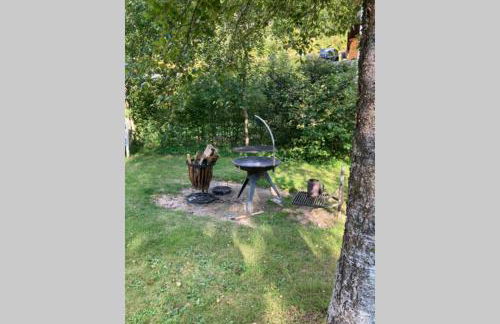 Gemütliche Ferienwohnung in Sankt Blasien - Foto 54