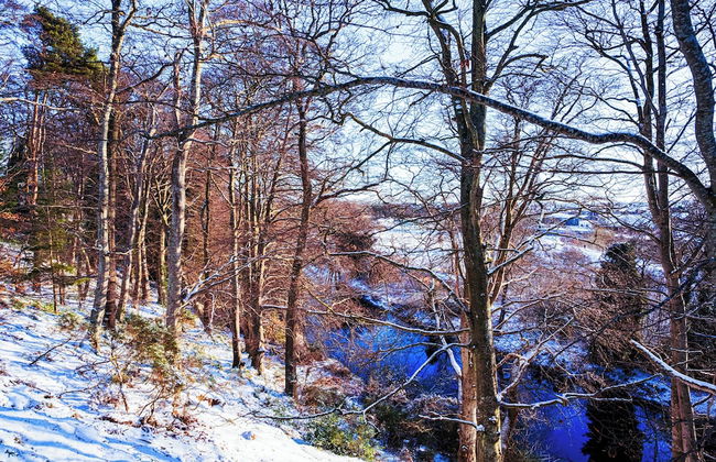 Darwin Cottage Self Catering in Elgin - Foto 34