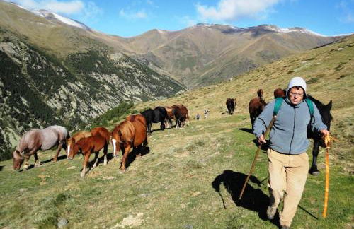 La Cabanya de Cal Forn de Serrat - Foto 18