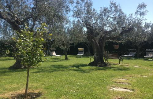 Agriturismo Villa Vetiche - Foto 51