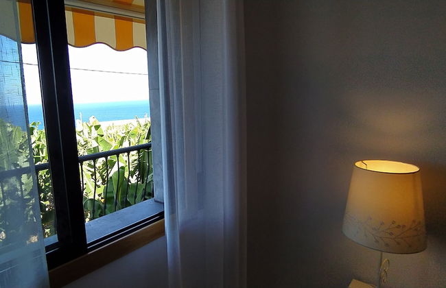 Caracol "trail Mountain La Palma" - Junto a Trébol - Foto 39