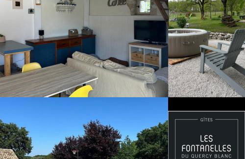 Les fontanelles du quercy blanc - Foto 8