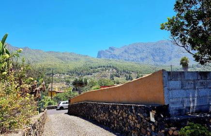 La Higuerita - Foto 5