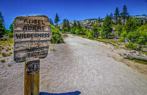 The Bridges 23 - Foto 44