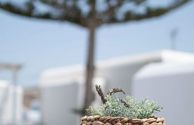 Mykonos Twins - Photo 64