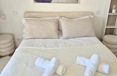 Superbe Appartement Luxueux Spacieux 50 m2 Port Nice - Photo 18