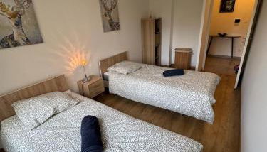 Appartement proche paris-aéroport Orly jardin privé - Foto 4