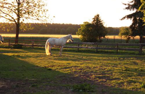 Gästehaus Tobringen 20 - Foto 26