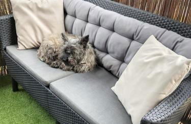 Charmant appartement à Saint-Julien 40 m² avec vue jardin - Foto 7