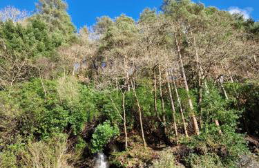 Ben Arthur Apartment - Foto 35