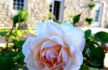 gîte en campagne Lamégritnière - Foto 34