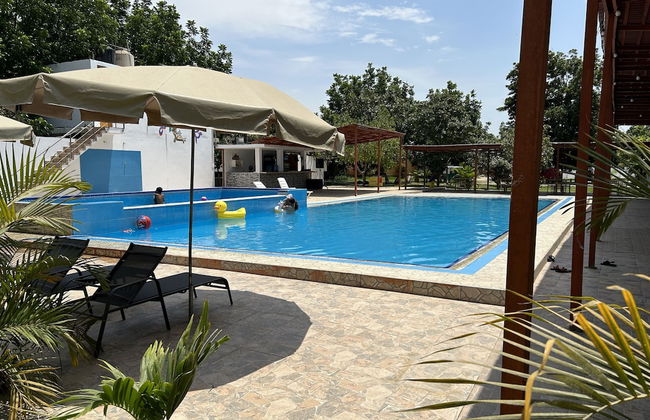 Ica adventures out of the woods - Photo 5