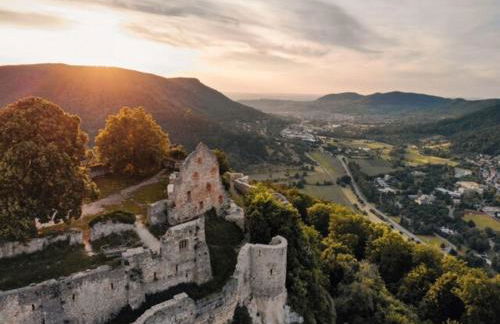 Erholungs- Apartment am Kurpark & Therme Bad Urach - Foto 15