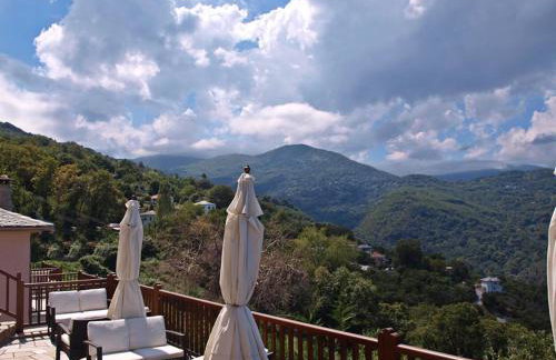 Lions Nine - Foto 13