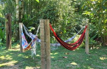 Sítio Com riacho particular em Cachoeira de Macacu - Foto 38