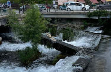 Maison Plume en Provence - Foto 35