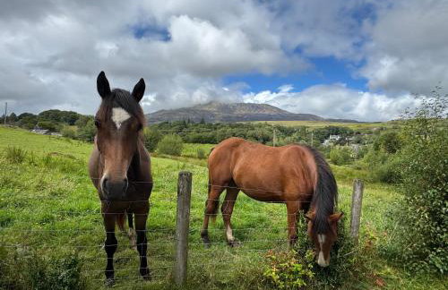 Snowdonia Eryri Cottage, Moel Siabod - Foto 22