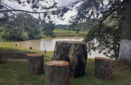 Cantinho do Sossego - Photo 8