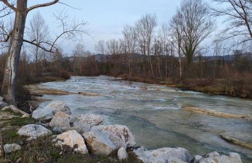 Don Divino - Foto 34