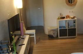 La coccinella - Foto 14