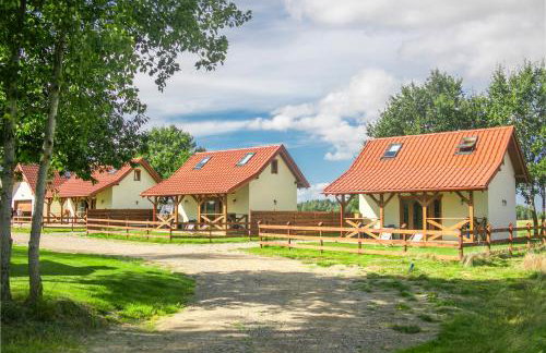 Ostoja Lemany - domki na Kaszubach, sauna, balia-jacuzzi, plac zabaw, tyrolka , dwa boiska, miejsce na ognisko, grill gazowy - Foto 48