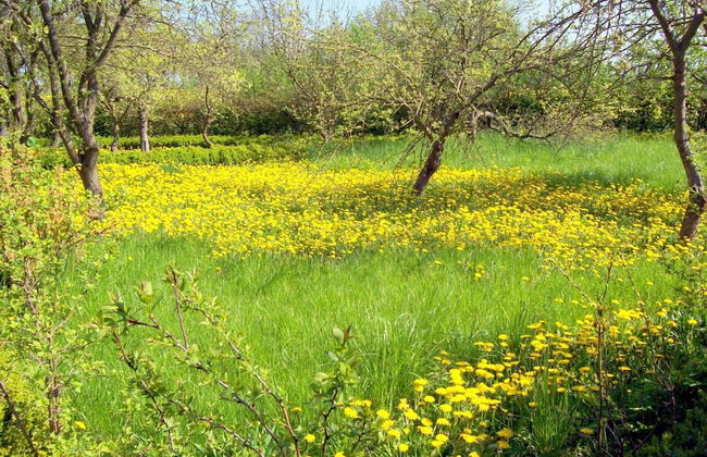 Gorgeous Apartment in Neuburg With Terrace - Foto 44