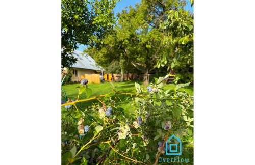 NaWypasie Apartment with Sauna Beautiful Garden SUP Board and Just 30 Minutes from Gdańsk and Gdynia - Foto 36