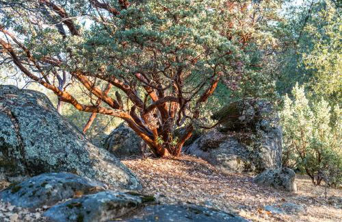 Lupine Landing - Foto 53