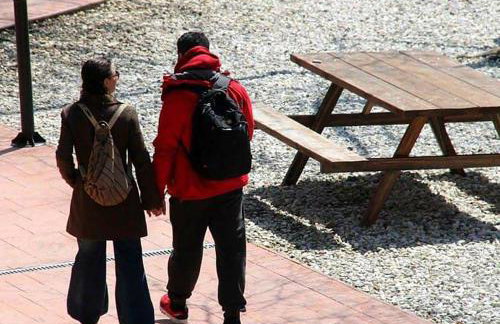 "The plane trees" - Foto 60