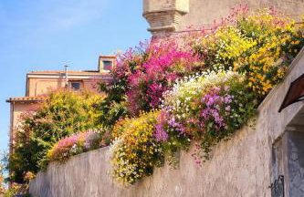 La Cartomante di Bonaparte - Foto 29