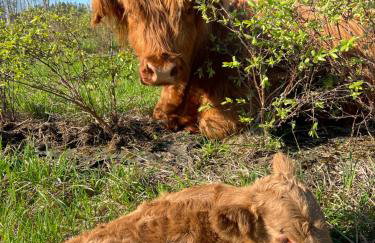 KRASNE POLE Gospodarstwo Rolne - Foto 2