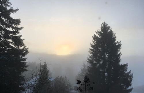 Eifelcottage Wren - Foto 35