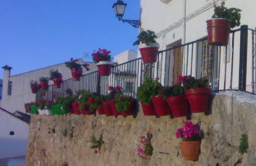 Casilla Dalea en Carcabuey, descubre el interior de Andalucia - Foto 25