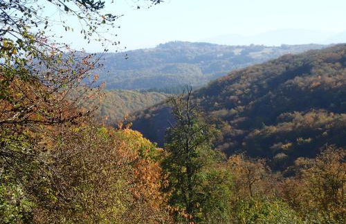 vakantiehuis Hunsrück - Foto 18