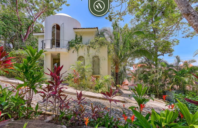 La Japihua in Jalisco - Foto 55