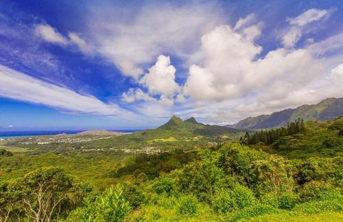 Lanikai Ohana Hale - Foto 19