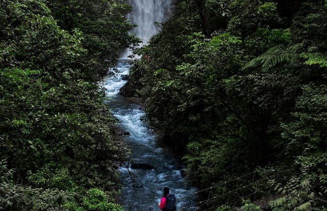 El Tigre Hideaway - Photo 49